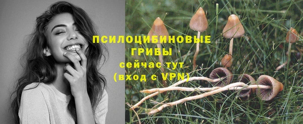 прущая мука Бородино