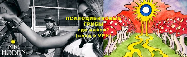 дурь Бугульма