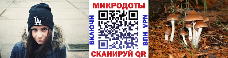 Галлюциногенные грибы Psilocybine cubensis Ахтырский