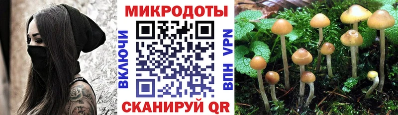 купить наркоту  Ахтырский  Псилоцибиновые грибы MAGIC MUSHROOMS 